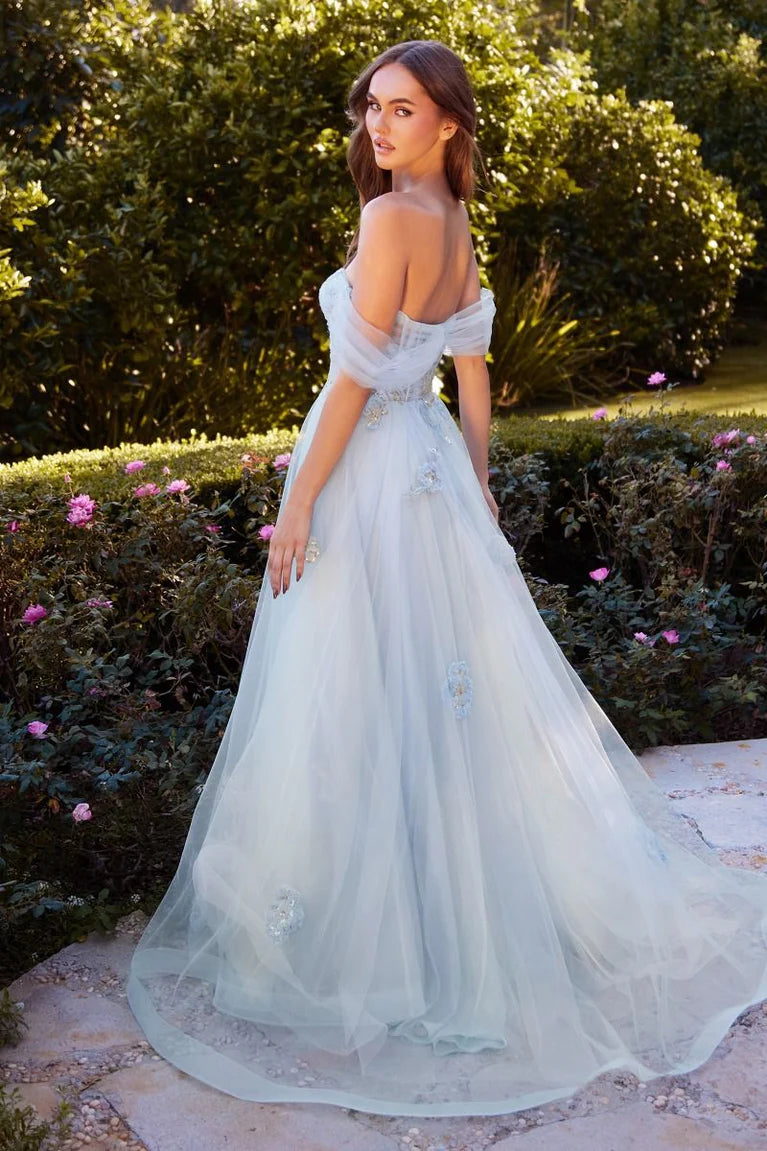 Off-Shoulder Sheer Sleeve 3D Floral Butterfly Embellished Corset Sky Blue Tulle Ball Gown Chapel Train Prom Dresses