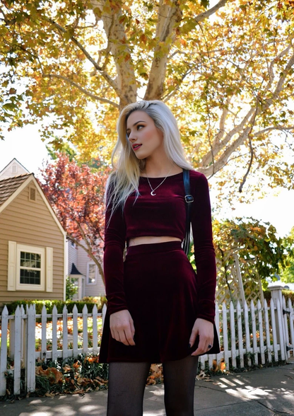 Two Piece Set Long Sleeve Velvet Dress Round Neck Long Sleeve Crop Top Skirt Set Formal Wear Dresses Wedding Guest Dress Evening Dress